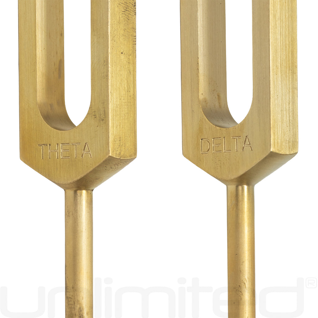 PraPelnia Bioresonance Set of 6 Brass Tuning Forks