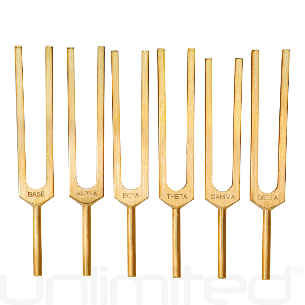 PraPelnia Bioresonance Set of 6 Brass Tuning Forks