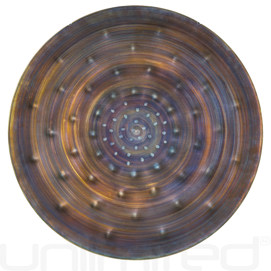 Ryan Shelledy 18" Hand Gongs