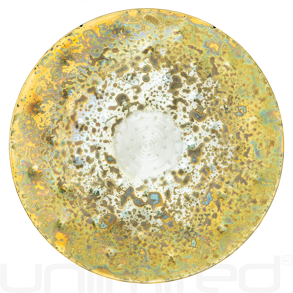 Ryan Shelledy 18" Hand Gongs