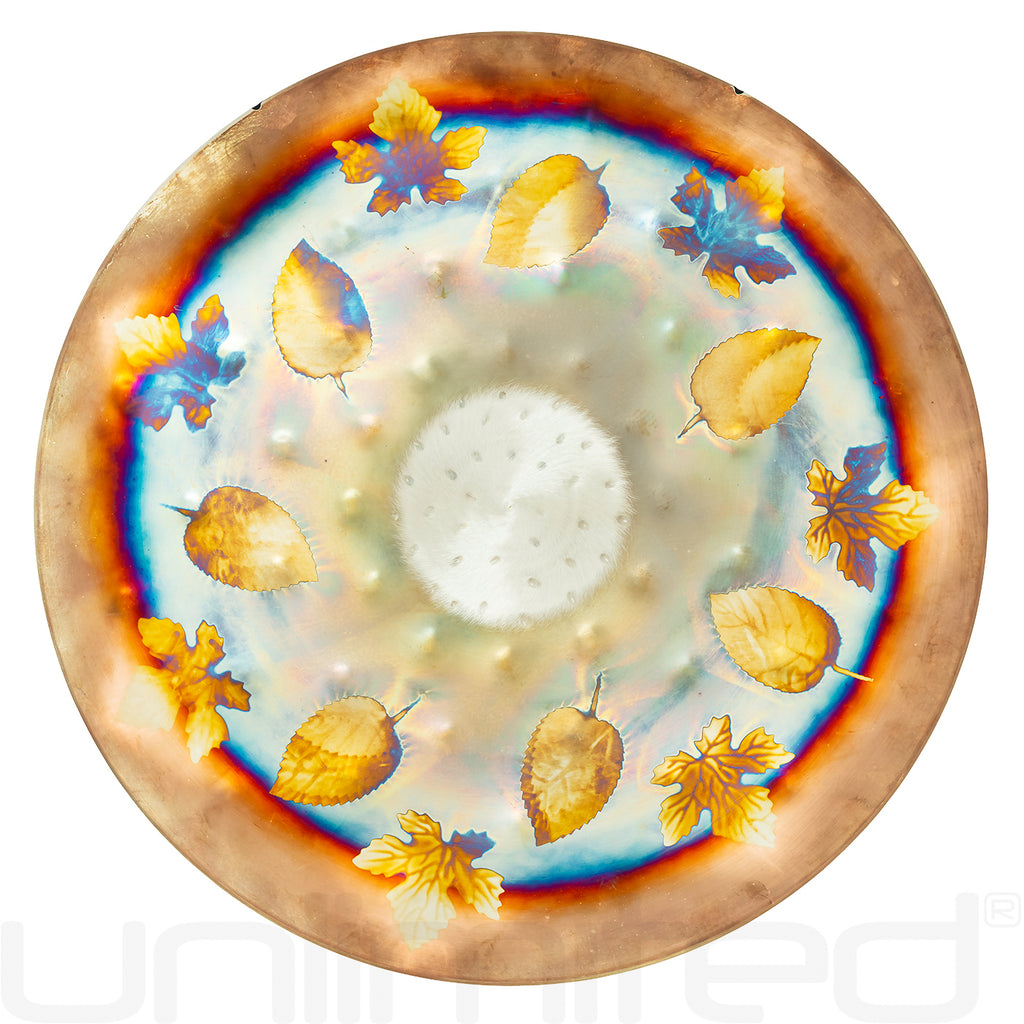 Ryan Shelledy 18" Hand Gongs