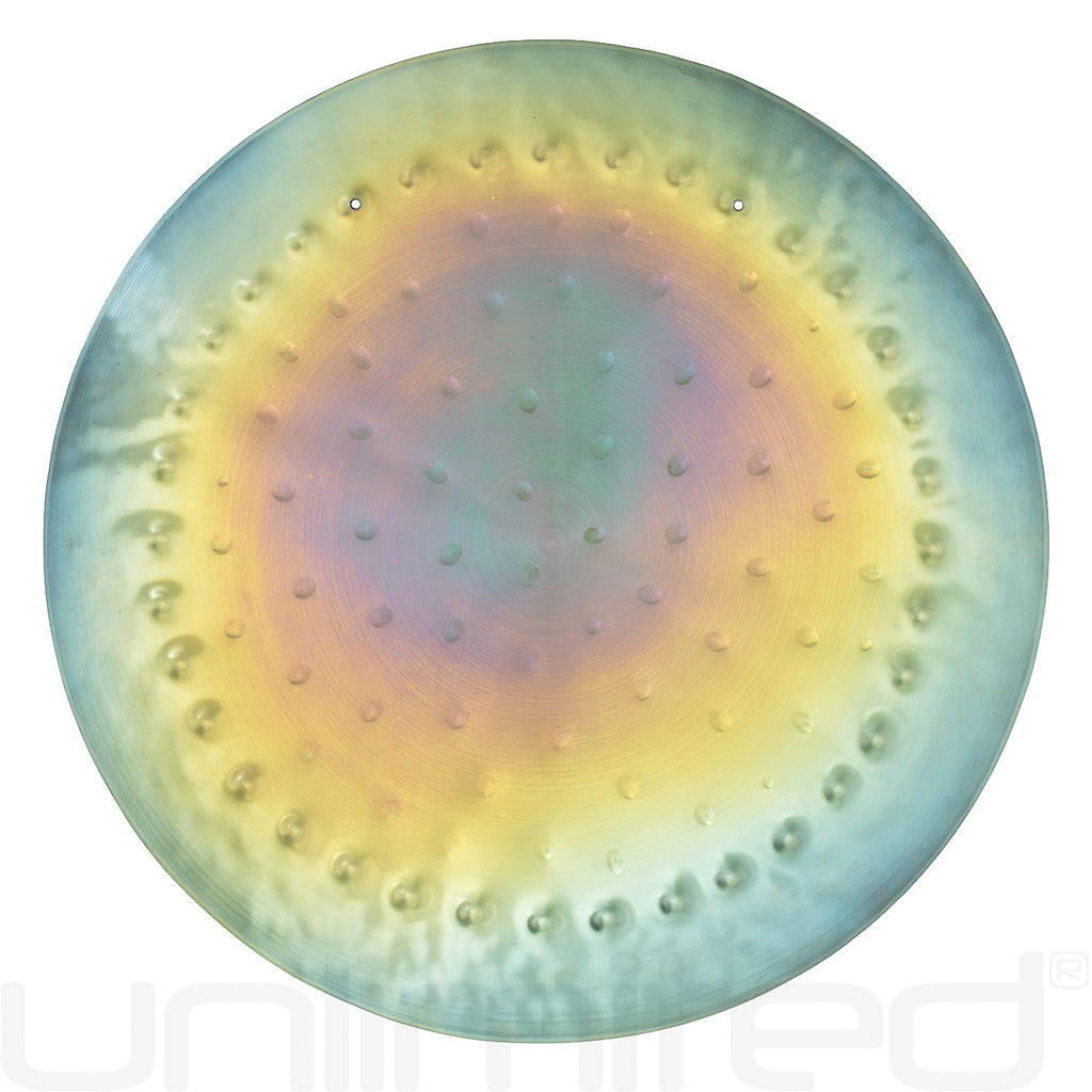 Ryan Shelledy 12" Handheld Gongs