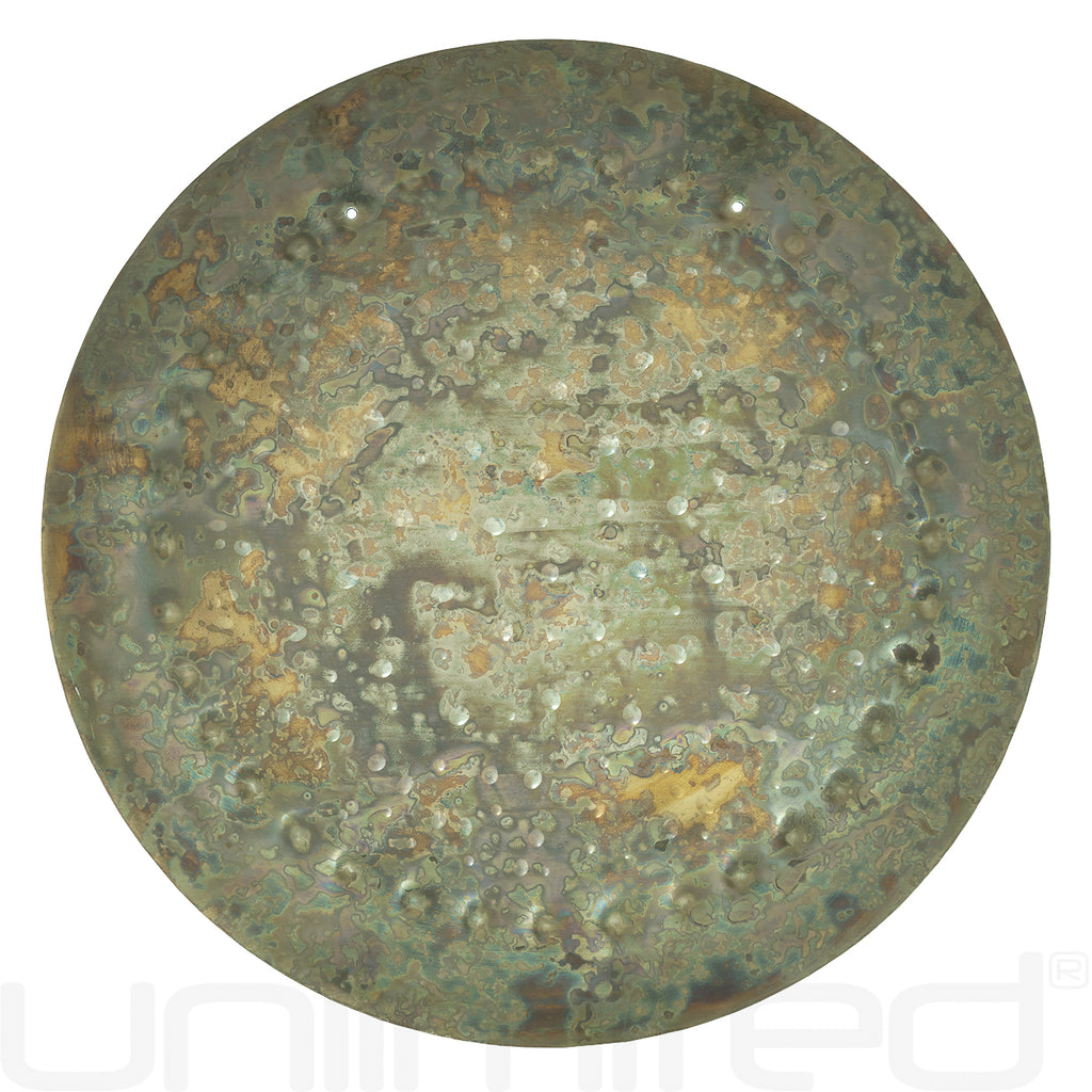 Ryan Shelledy 12" Handheld Gongs