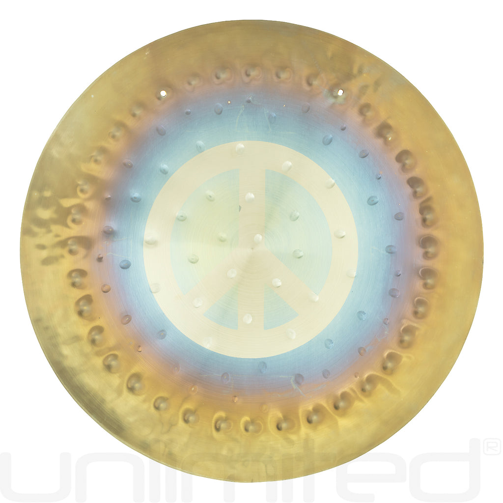 Ryan Shelledy 12" Handheld Gongs