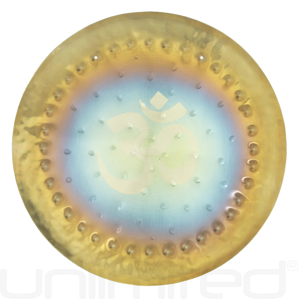 Ryan Shelledy 12" Handheld Gongs