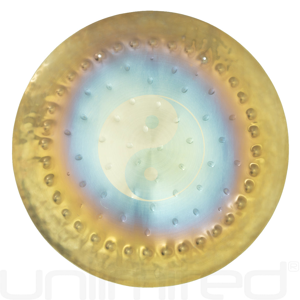 Ryan Shelledy 12" Handheld Gongs