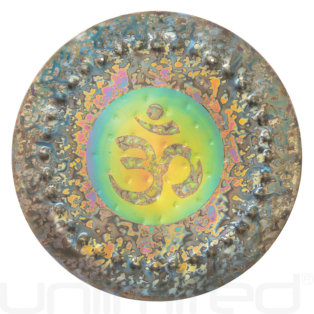 Ryan Shelledy 12" Handheld Gongs