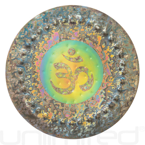 Ryan Shelledy 12" Handheld Gongs