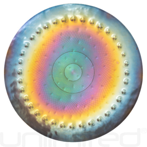 Ryan Shelledy 12" Handheld Gongs