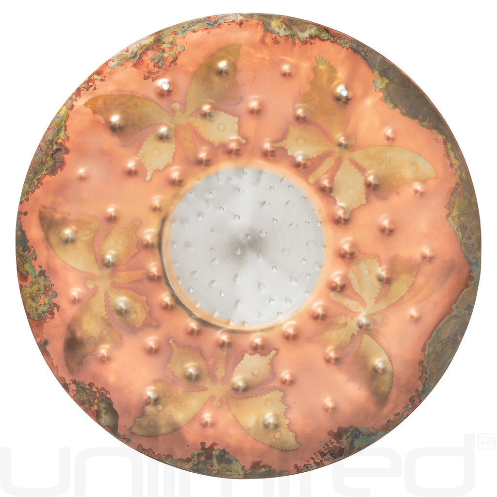 Ryan Shelledy 12" Handheld Gongs