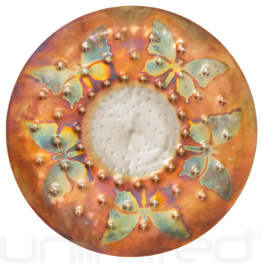 Ryan Shelledy 12" Handheld Gongs