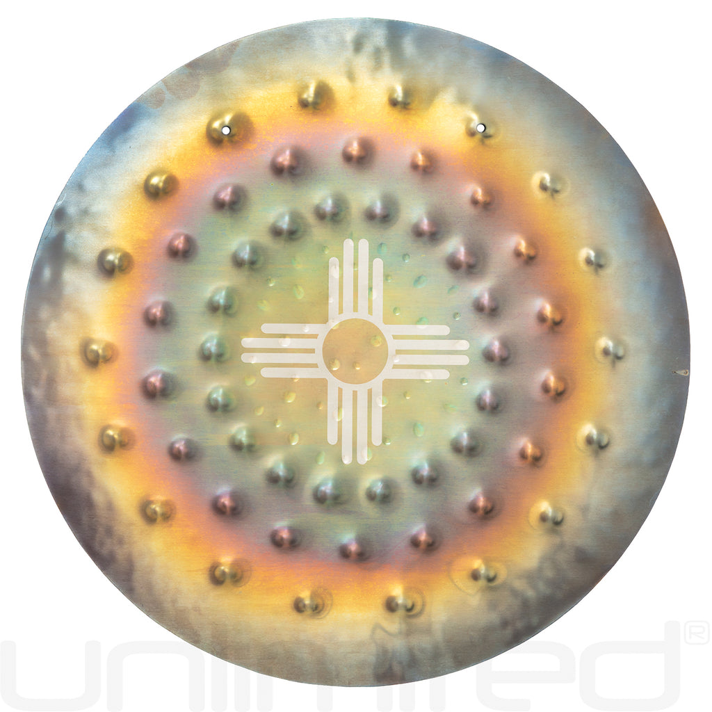 Ryan Shelledy 12" Handheld Gongs