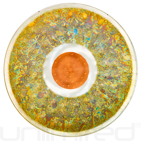 Ryan Shelledy 22" Corazon Misterioso Gongs