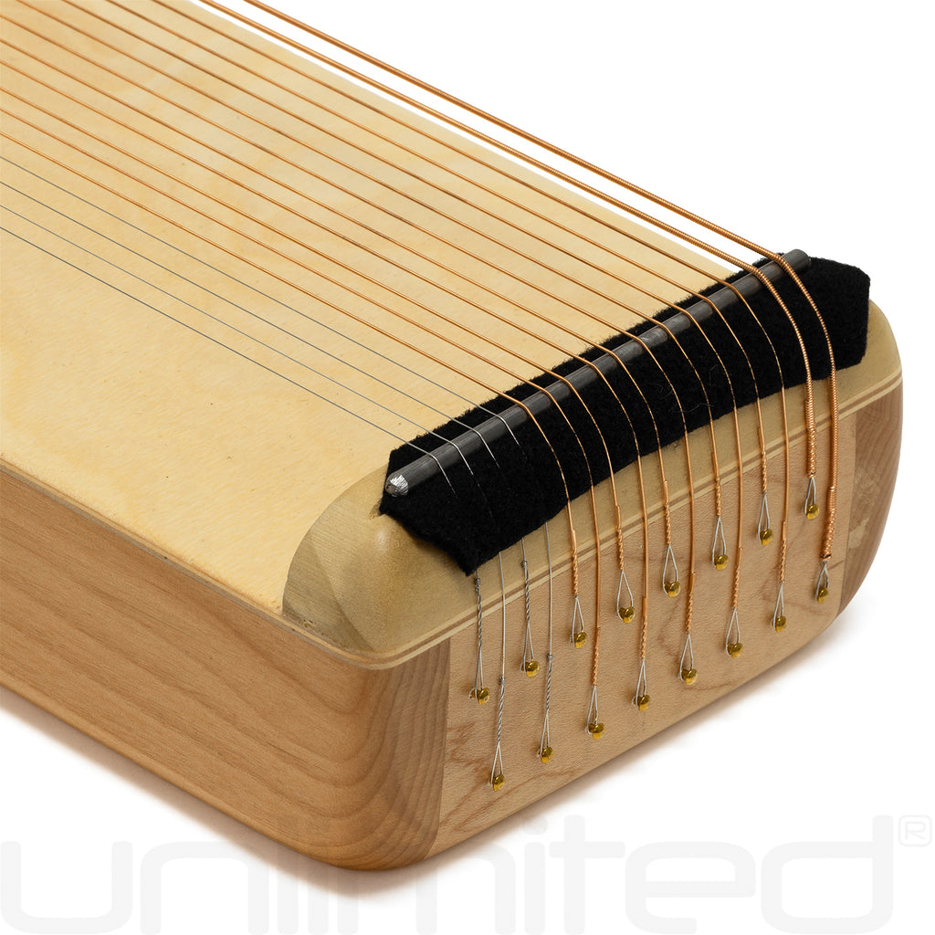 Solstice Sound Healing - 16 String Monochord