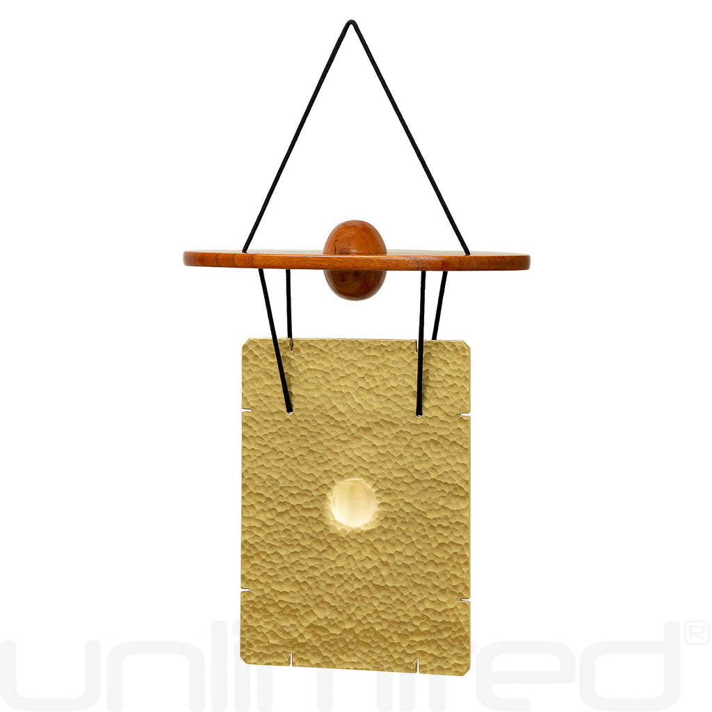 SVARAM Planetary Tuned Plates