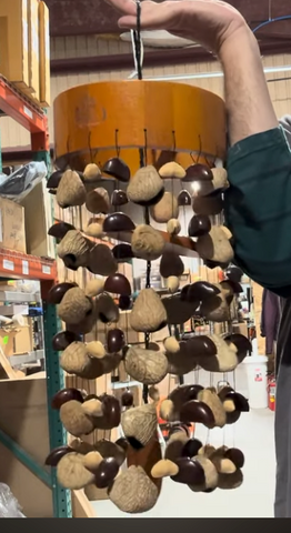 Unlimited Sample Circular Chime