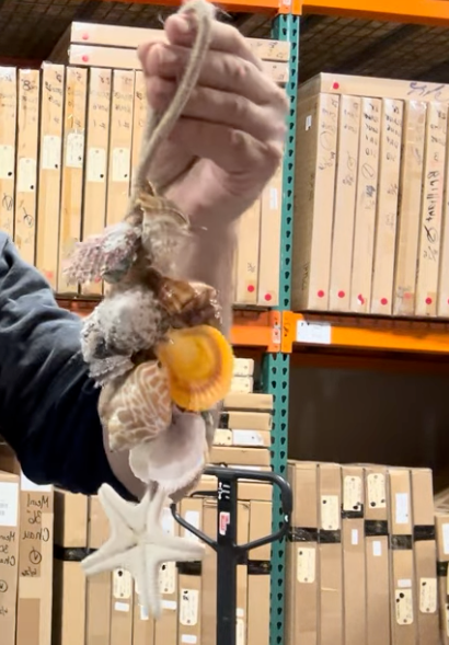 SAMPLE Set of 3 Unlimited Shell Chimes