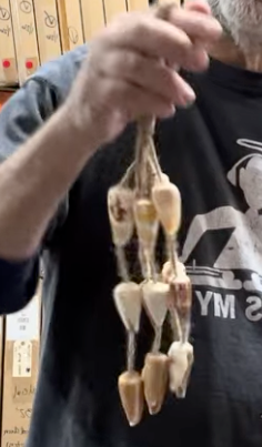 SAMPLE Set of 3 Unlimited Shell Chimes