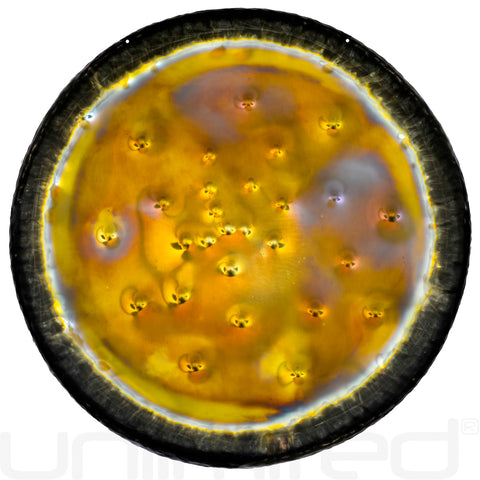 Tone of Life 36" Earth Gong