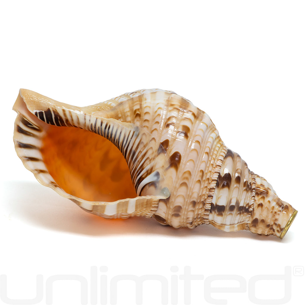 Unlimited Triton Shells