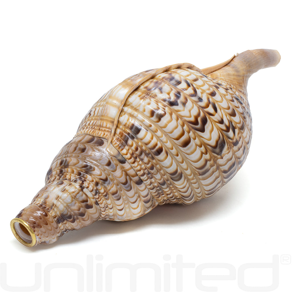 Unlimited Triton Shells