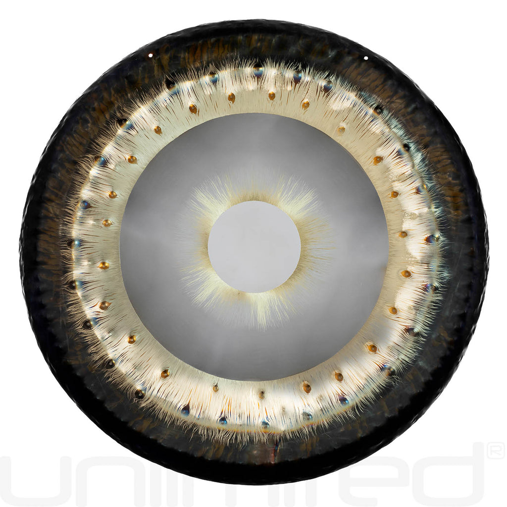 Tone of Life 36" Divine Feminine Gongs