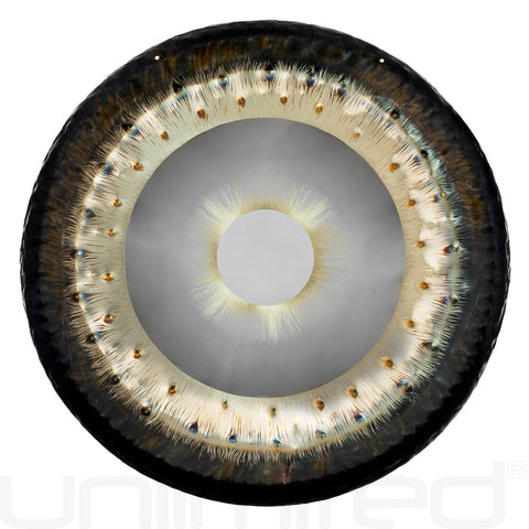 Tone of Life 36" Divine Feminine Gongs