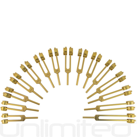 Unlimited Human Organ Tuning Fork Set (Weighted) with Activator