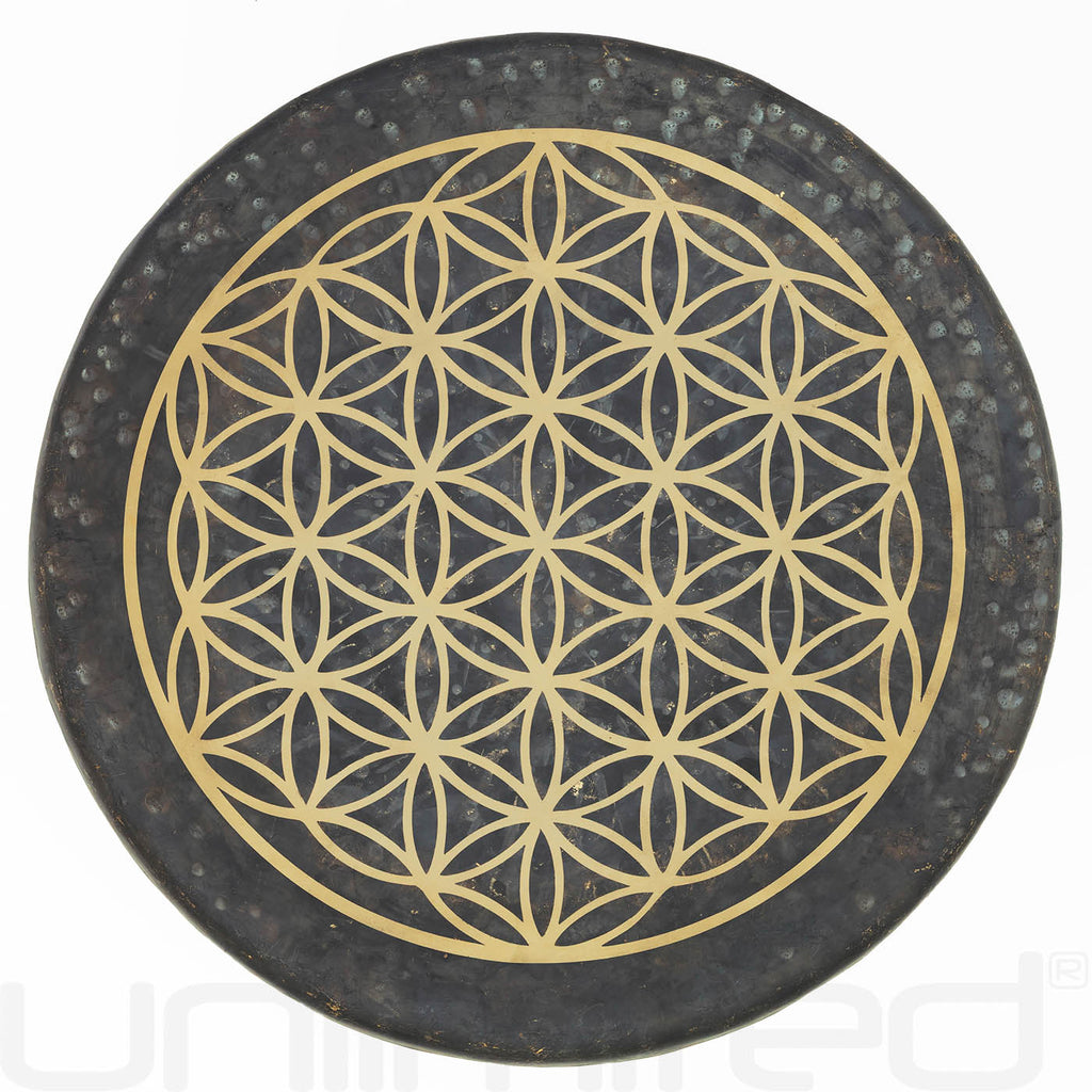 14" to 22" Flower of Life Mother Tesla Gongs