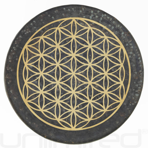 14" to 22" Flower of Life Mother Tesla Gongs