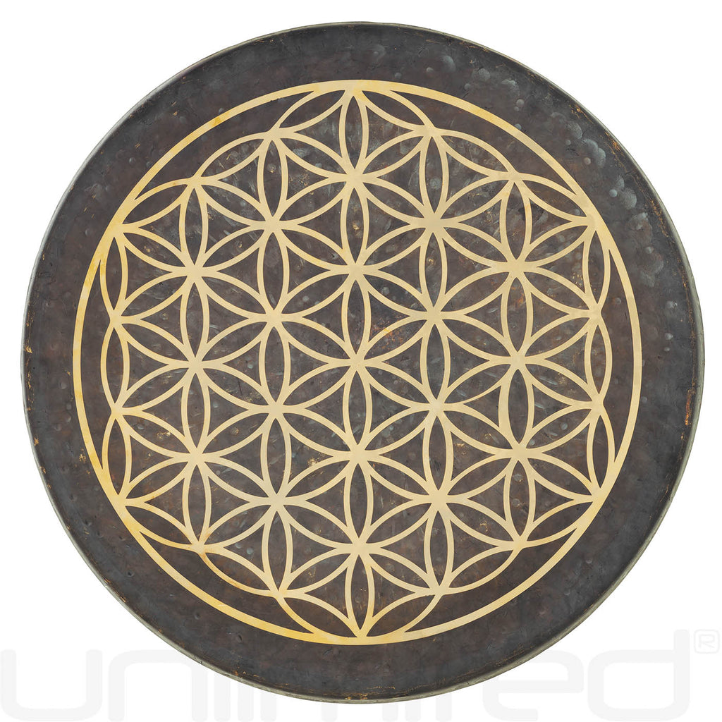 14" to 22" Flower of Life Mother Tesla Gongs