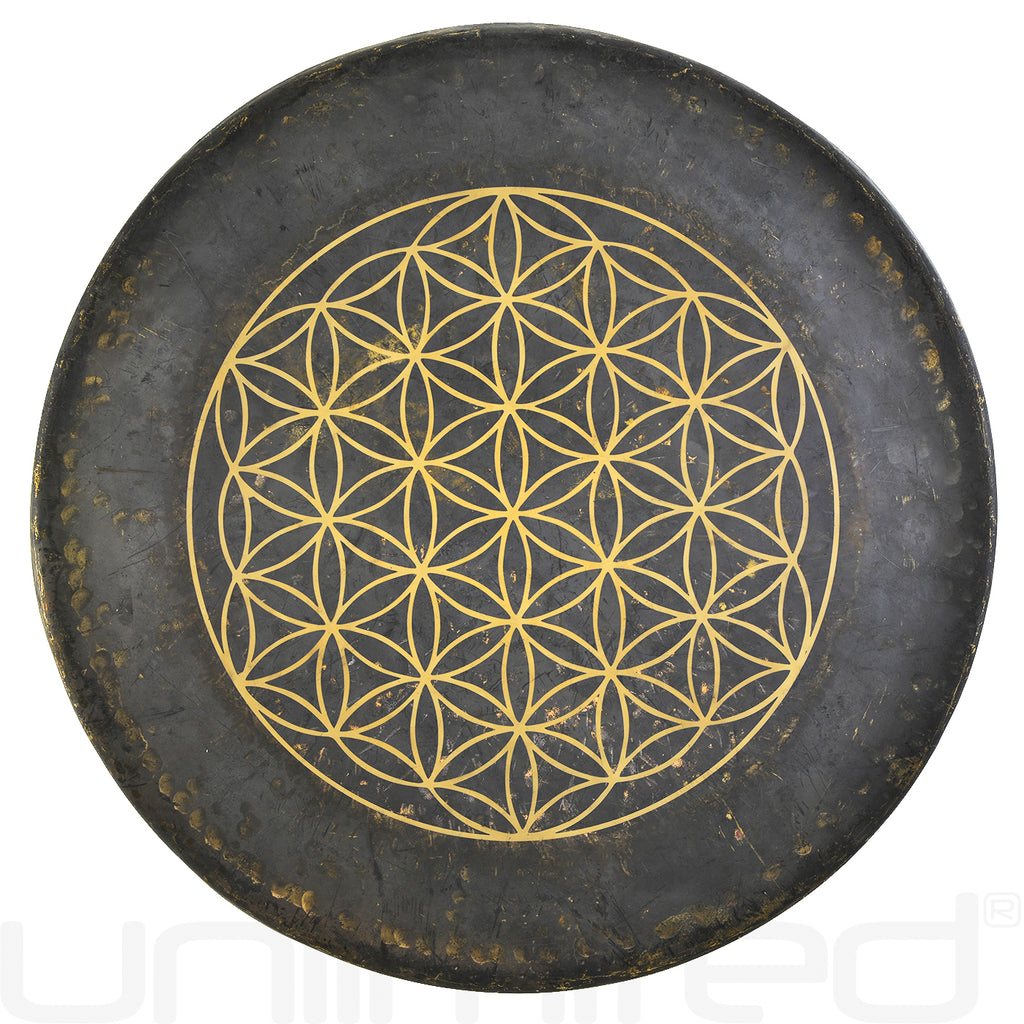 26" Flower of Life Mother Tesla Gongs