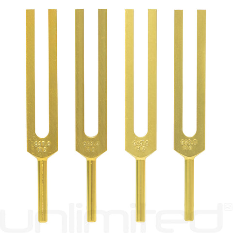 Unlimited DNA Nucleotides Tuning Fork Set