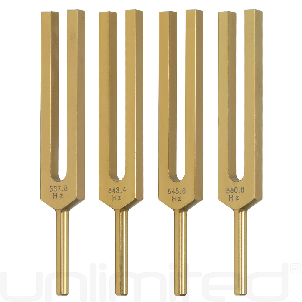 Unlimited DNA Nucleotides Tuning Fork Set