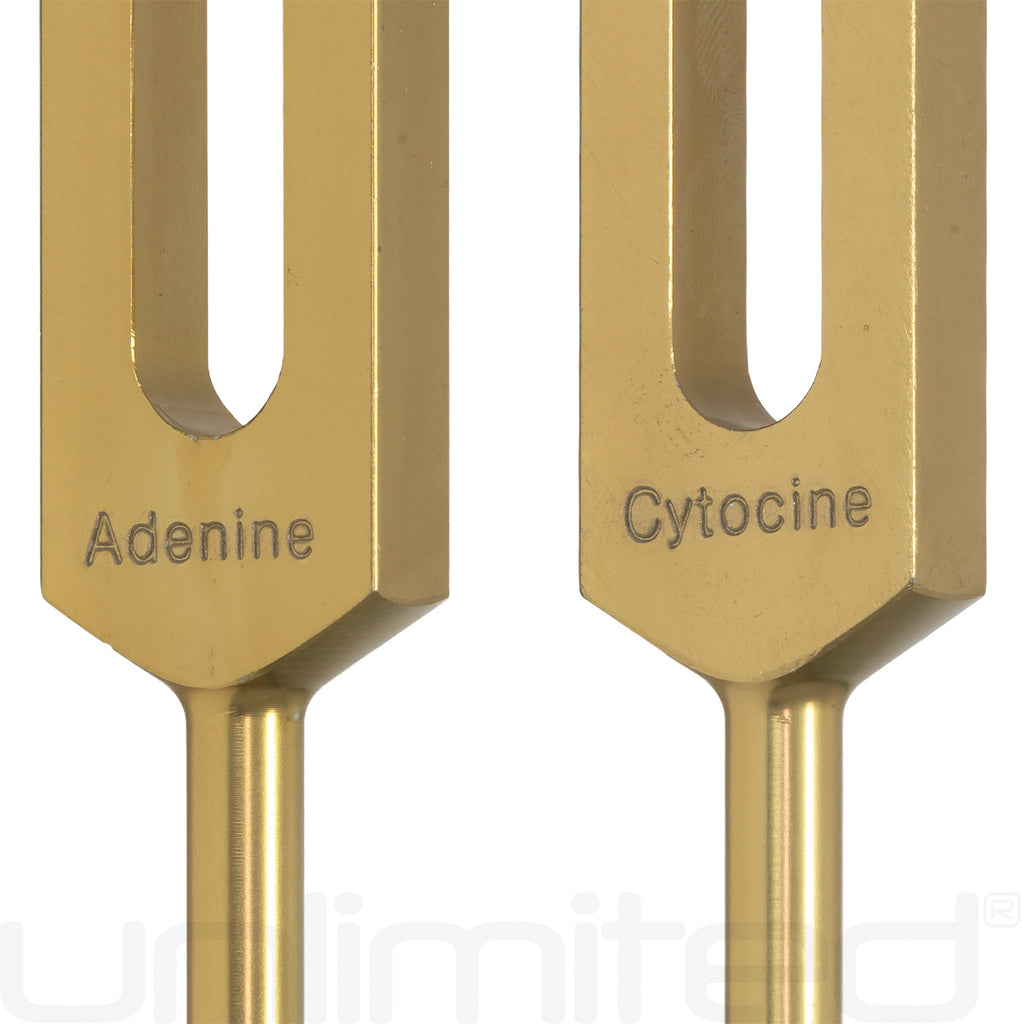 Unlimited DNA Nucleotides Tuning Fork Set