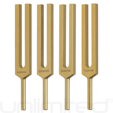 Unlimited DNA Nucleotides Tuning Fork Set