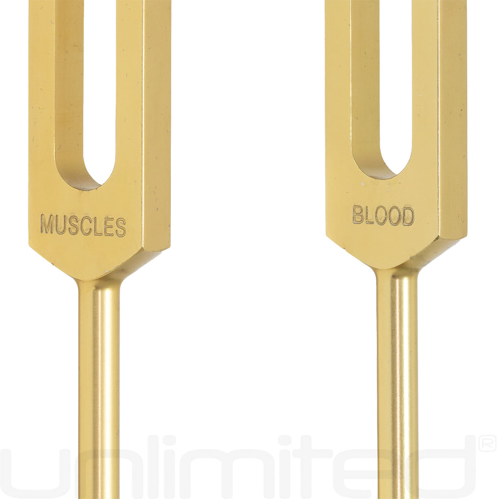 Unlimited Human Organ Tuning Fork Set (Weighted) with Activator