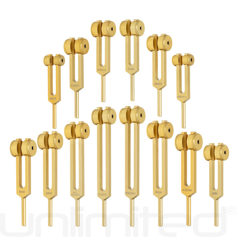 Unlimited Human Organ Tuning Fork Set (Weighted) with Activator