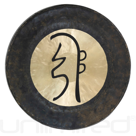 16" Sei He Ki Reiki Gongs