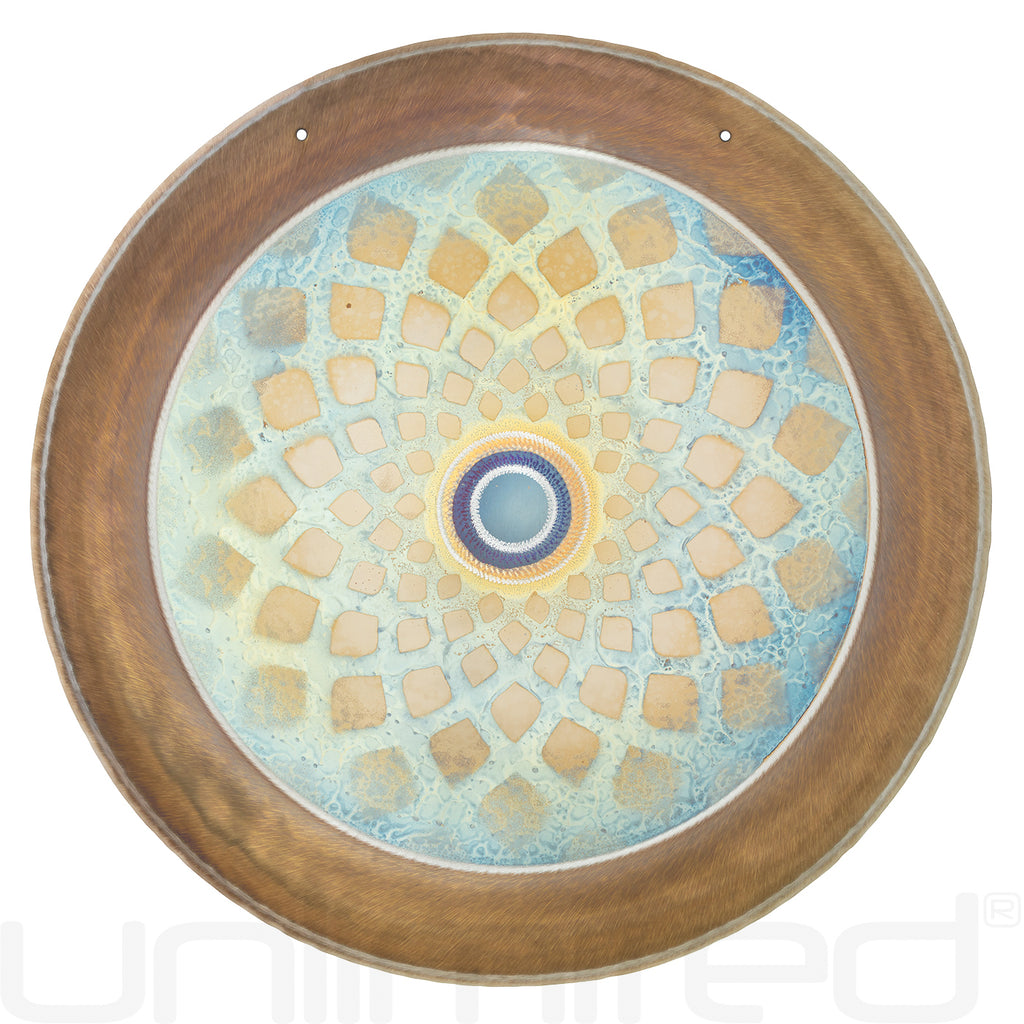 Wom 23" Vox Gongs
