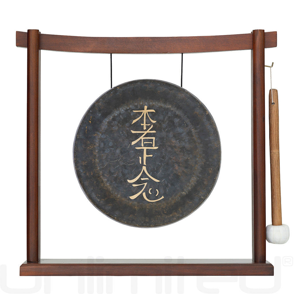 10" Hon Sha Ze Sho Nen Reiki Gong on Stands