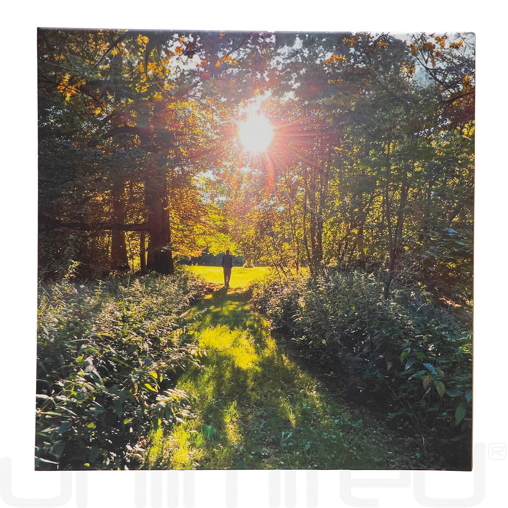 Listen With Your Heart by Martin Bläse