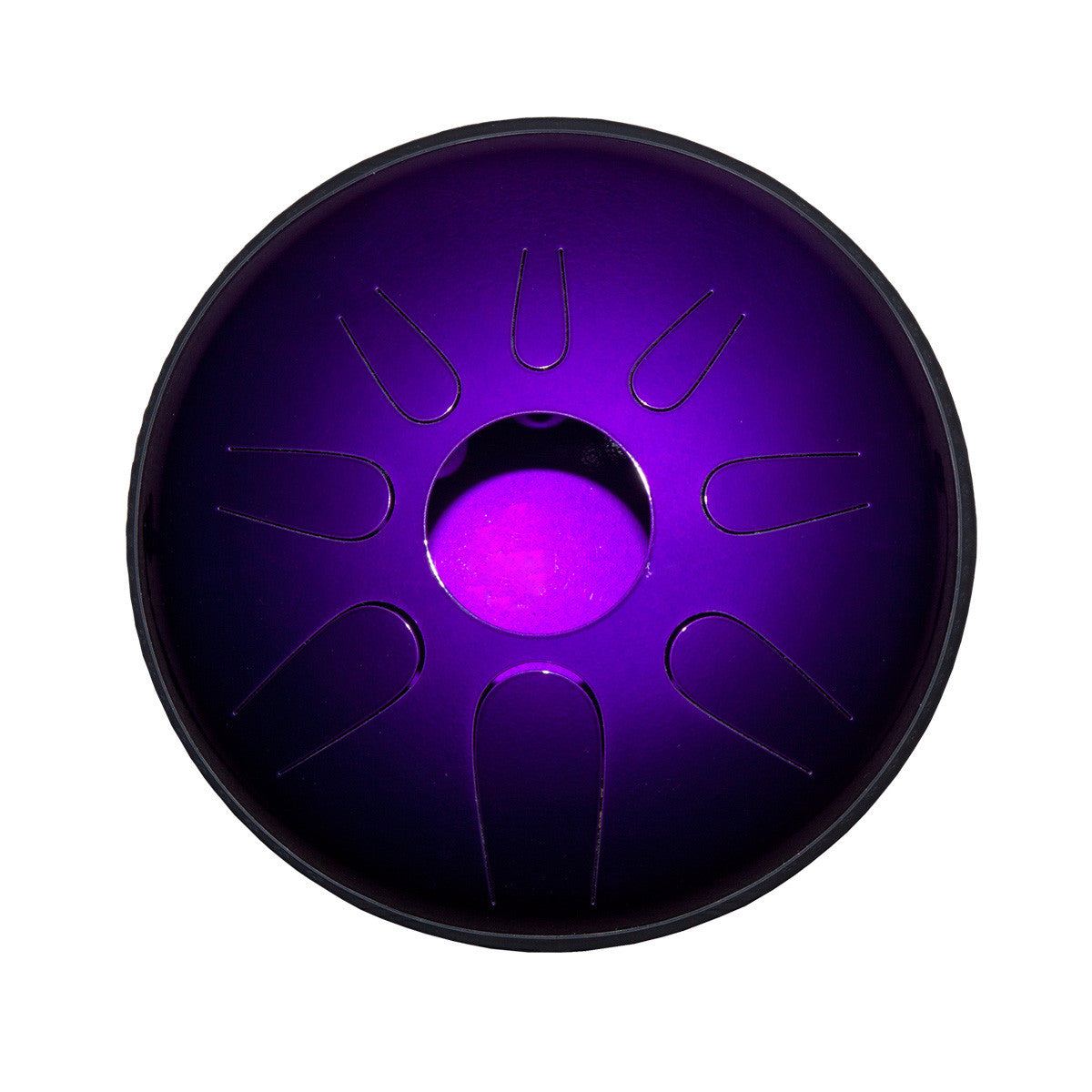 Idiopan Domina 12\