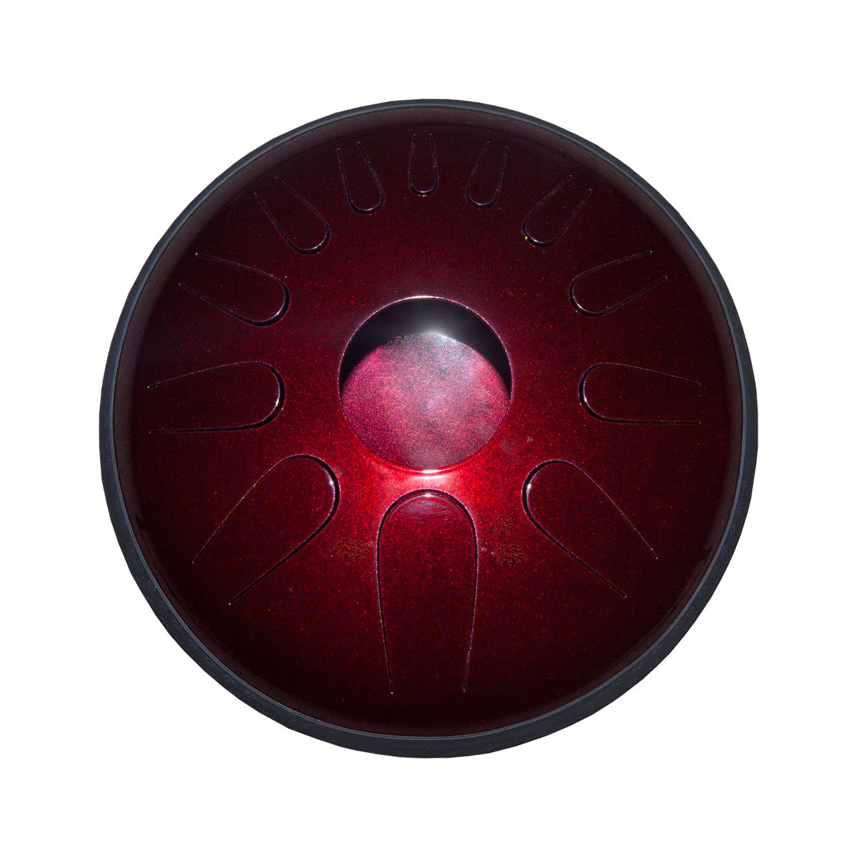 Idiopan Domina Pro 12