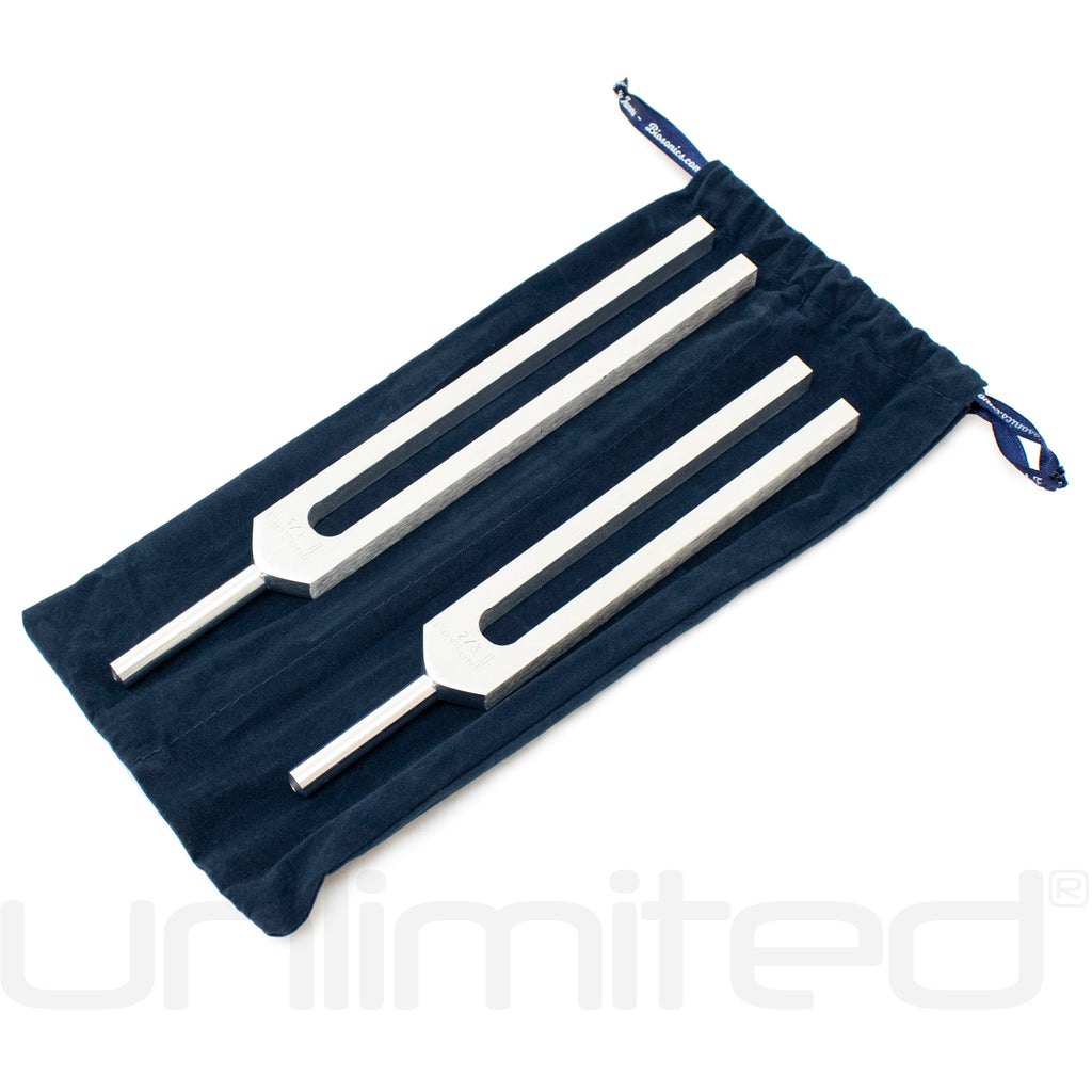 Biosonics Body Tuners - 256 Hz and 384 Hz