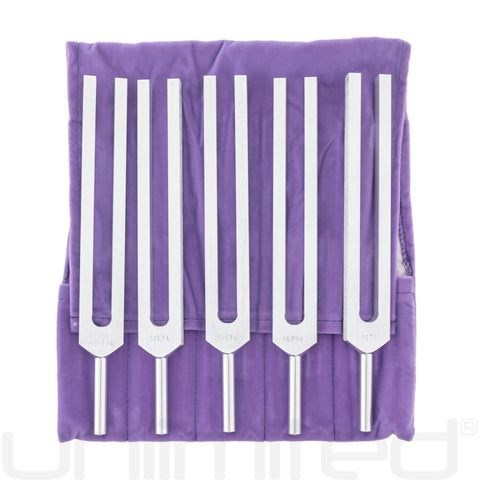 Biosonics Set of 5 Brain Tuners with Purple Velvet Pouch - Gongs Unlimited