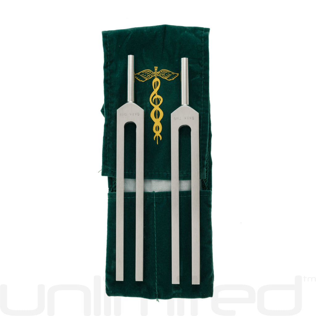 Jonathan Goldman's Gaia Frequency Brain Tuner Kit - Gongs Unlimited