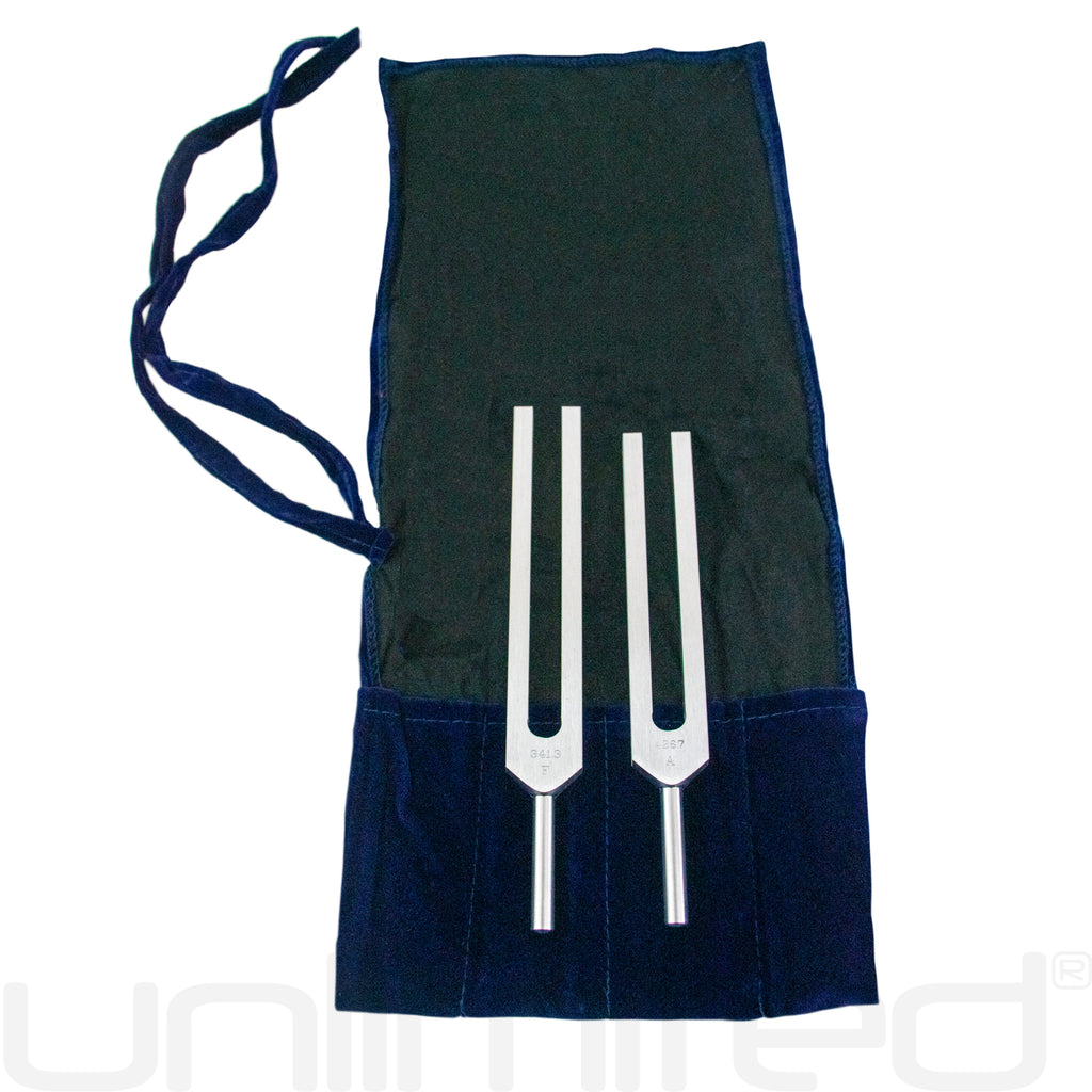 Biosonics Leonardo Upgrade for Body Tuners