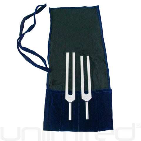 Biosonics Leonardo Upgrade for Body Tuners