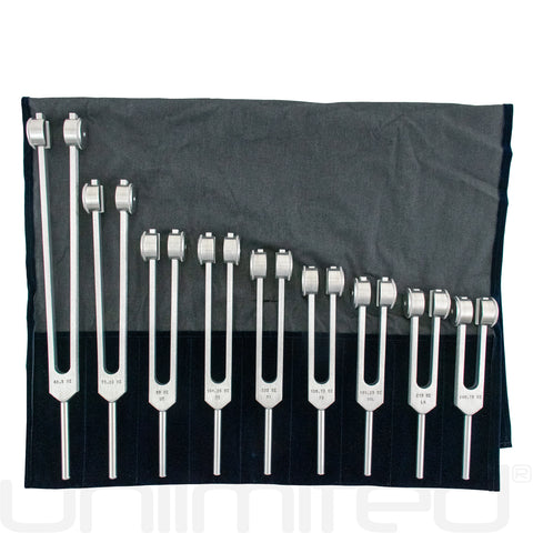 Luminanti Solfeggio Body Set of 9 Tuning Forks (Weighted)